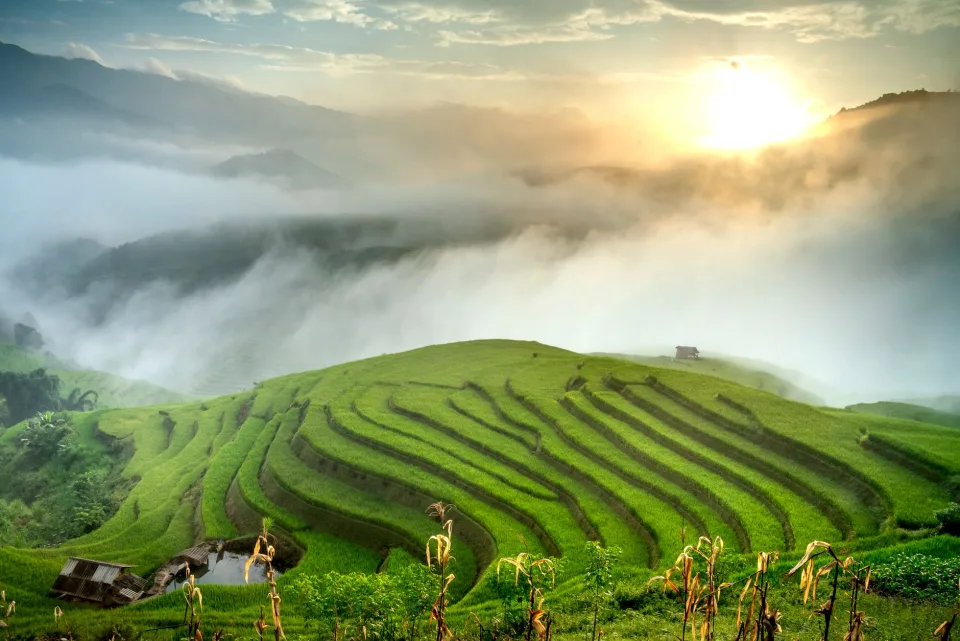 Kho gạo của Nguyễn Hữu Trường